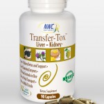 Transfer-Tox
