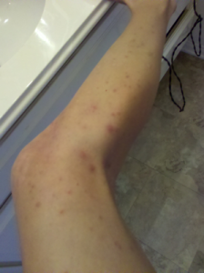 msm extra healing lotion msm extra healing lotion